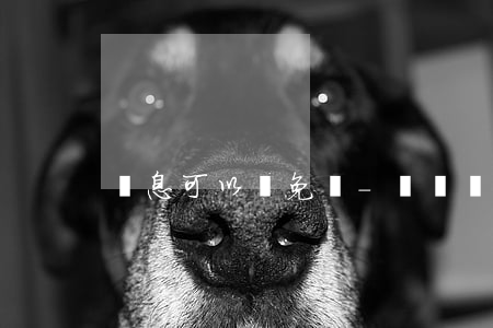 罰息可以減免嗎-網貸罰息可以減免嗎