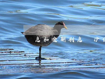 罰息和逾期利息（長沙信用卡逾期利息與罰息）