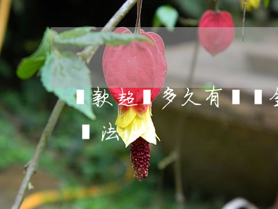罰款超過多久有滯納金（逾期滯納金超過多少違法）