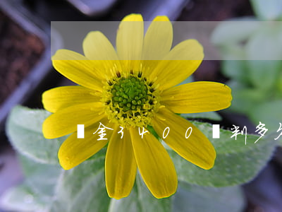 罰金3400會判多久