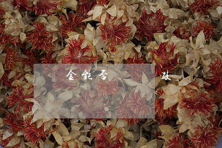 罰金能否確認為破產債權