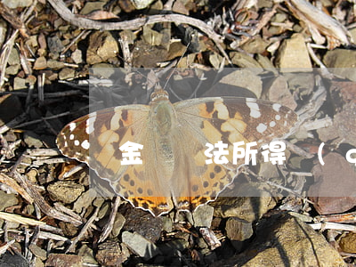 罰金與違法所得關(guān)系是怎樣的
