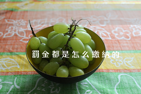 罰金都是怎么繳納的