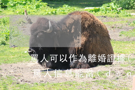 罵人可以作為離婚證據(jù)嗎(離婚對方罵人信息能當(dāng)證據(jù)嗎)