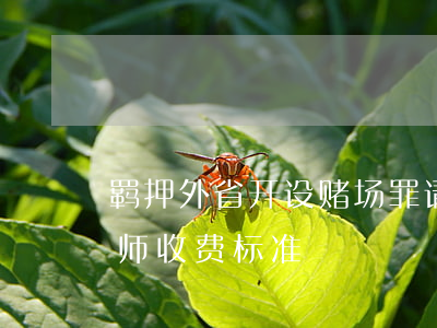 羁押外省开设赌场罪请律师吗(开设赌场罪律师收费标准)
