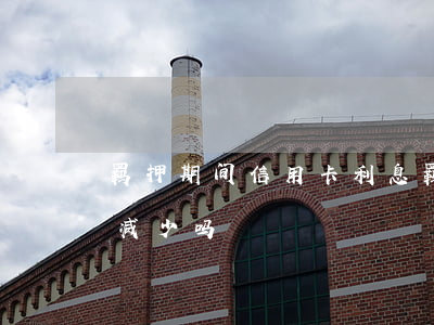 羁押期间信用卡利息(羁押期间信用卡利息会减少吗)