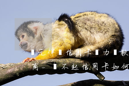 羅元律師信用卡無力還款怎么協(xié)商-還不起信用卡如何協(xié)商