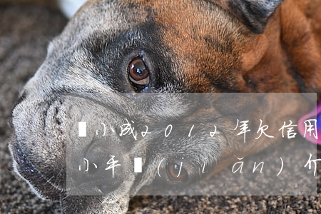 羅小成2012年欠信用卡貴州省-貴州羅小平簡(jiǎn)介