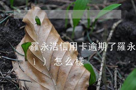 羅永浩信用卡逾期了(羅永浩不還錢會(huì)怎么樣)