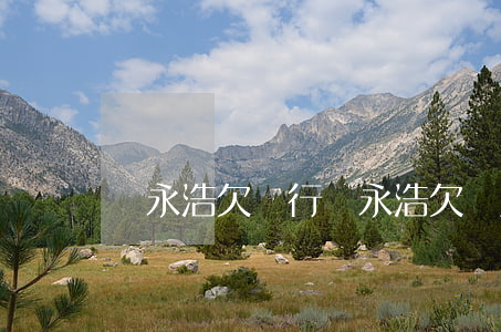 羅永浩欠銀行(羅永浩欠債原因)