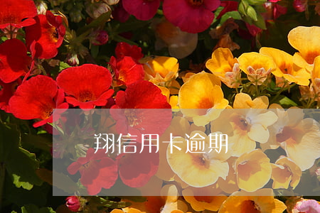 羅翔信用卡逾期問題