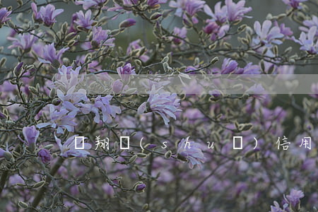 羅翔說(shuō)信用卡逾期