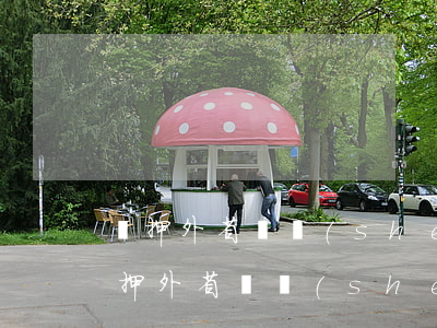羈押外省開設(shè)賭場罪請律師嗎(羈押外省開設(shè)賭場罪請律師嗎)