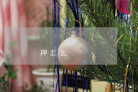羈押怎么讀