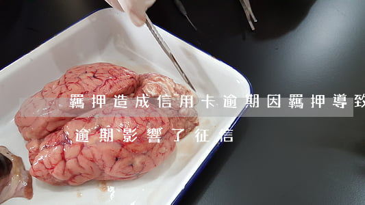 羈押造成信用卡逾期(因羈押導致信用卡還款逾期影響了征信)