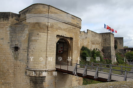 羊小咩享花卡提前結(jié)清（羊小咩花卡逾期一天）
