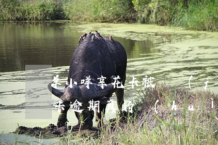 羊小咩享花卡被凍結(jié)（羊小咩享花卡逾期真的會(huì)起訴嗎）