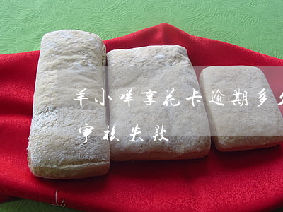 羊小咩享花卡逾期多久被起诉(羊小咩享花卡审核失败)