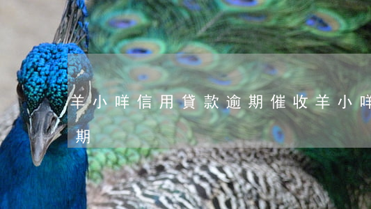 羊小咩信用貸款逾期催收（羊小咩信用貸款逾期）