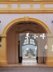 羊小咩協(xié)商還款（羊小咩逾期協(xié)商）