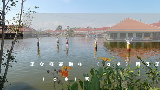 羊小咩逾期4個(gè)月了(羊小咩逾期2個(gè)月)