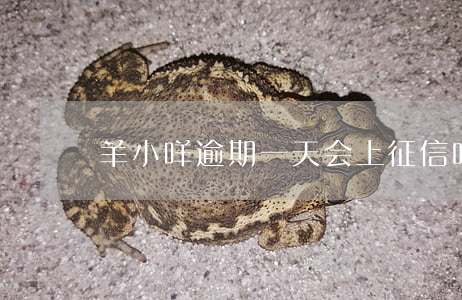 羊小咩逾期一天会上征信吗（羊小咪逾期一天）