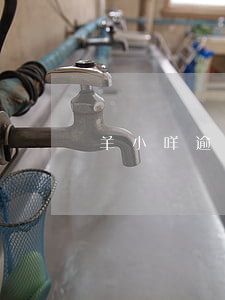 羊小咩逾期半年被起訴