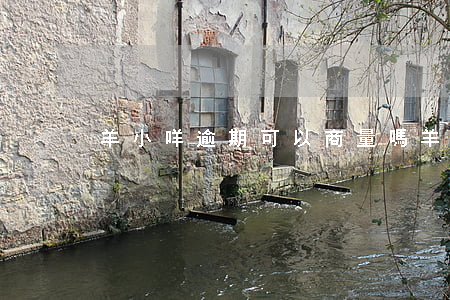 羊小咩逾期可以商量嗎 羊小咩逾期了