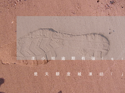 羊小咩逾期有強(qiáng)(羊小咩逾期幾天額度被凍結(jié))