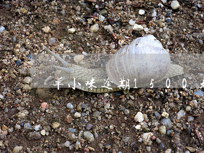 羊小咪逾期1500起訴(羊小羊逾期)
