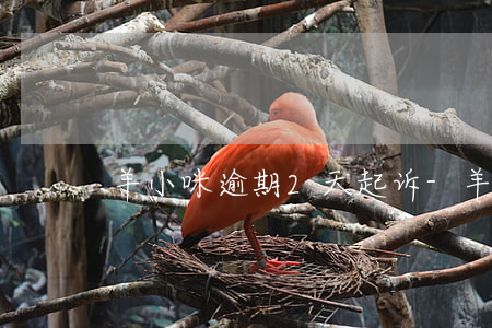 羊小咪逾期2天起诉-羊小咪逾期2天起诉