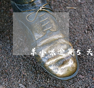 羊小咪逾期5天說上門(羊小喵逾期)
