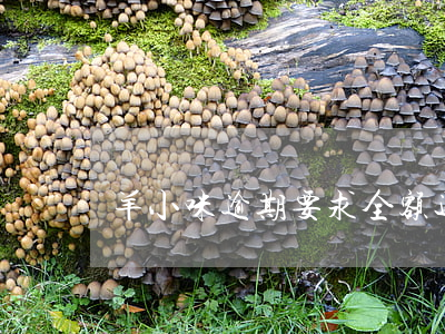 羊小咪逾期要求全额还(羊小羊逾期)