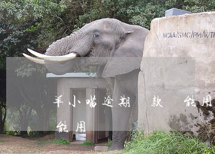 羊小喵逾期還款還能用嗎(羊小喵逾期還款還能用嗎)