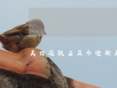 美借还款后显示逾期(美借怎么还款)