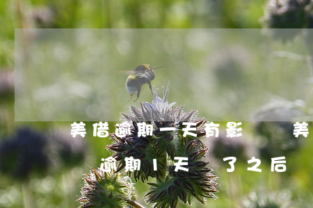 美借逾期一天有影響嗎(美團(tuán)借錢逾期1天還了之后還了影響征信嗎)