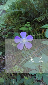 美兰区法律援助（美兰区找债务纠纷律师）