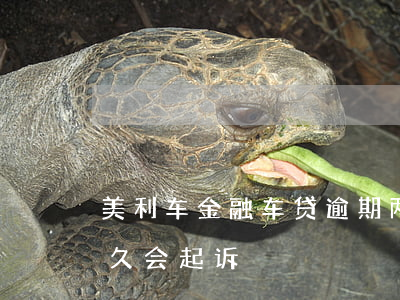 美利车金融车贷逾期两个月（美国车贷逾期多久会起诉）