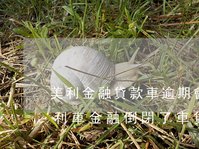 美利金融貸款車逾期會(huì)起訴嗎(美利車金融倒閉了車貸不還啦還會(huì)收車嗎)