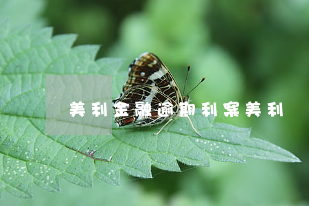 美利金融逾期利案(美利車金融逾期)