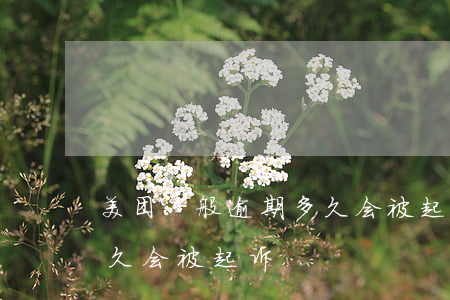 美团一般逾期多久会被起诉(美团一般逾期多久会被起诉)