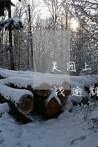 美团上借钱逾期还款还能借钱吗-美团上借钱逾期还款还能借钱吗安全吗