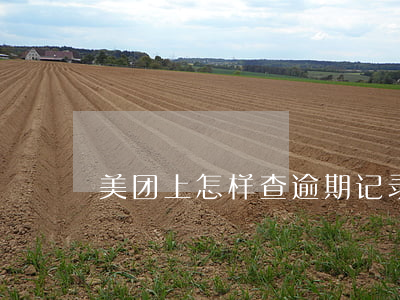 美团上怎样查逾期记录微信(美团逾期怎么做)