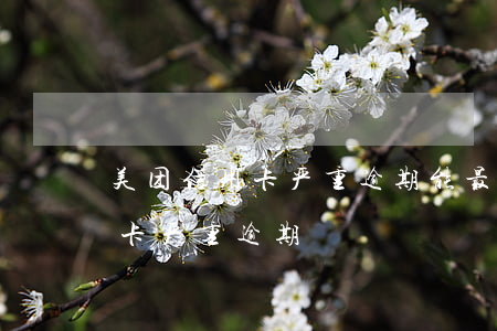 美团信用卡严重逾期能最低还款吗（美团信用卡严重逾期）