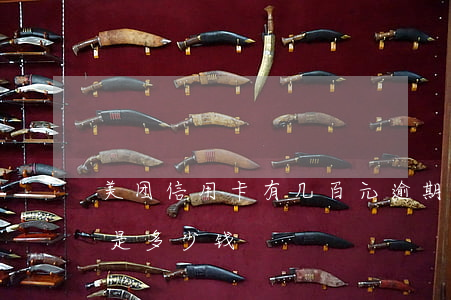 美团信用卡有几百元逾期几天(美团逾期一天是多少钱)