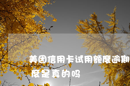 美团信用卡试用额度逾期-美团的信用卡额度是真的吗