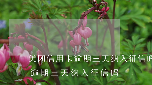 美团信用卡逾期三天纳入征信吗（美团信用卡逾期三天纳入征信吗）