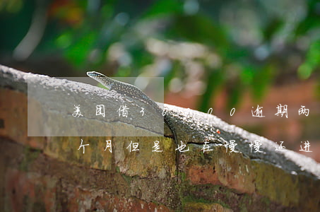 美团借30000逾期两年(美团借钱逾期三个月但是也在慢慢还进去)