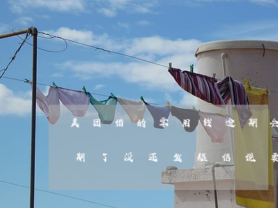 美团借的零用钱逾期会被起诉吗(美团借钱逾期了没还发短信说要上门起诉我真的吗)