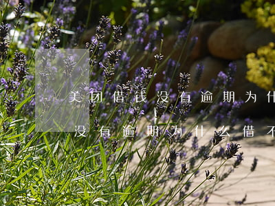 美团借钱没有逾期为什么借不了-美团借钱没有逾期为什么借不了呢